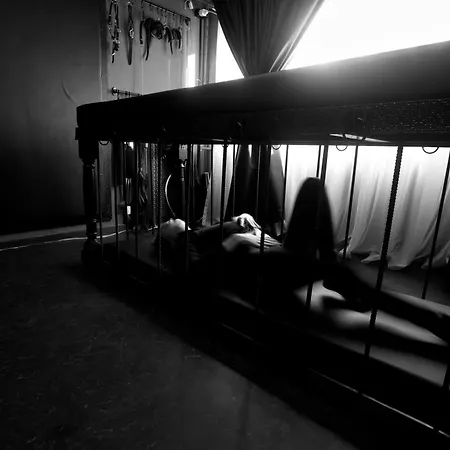 Elite Signature I Leisure In The Centre * Boekarest